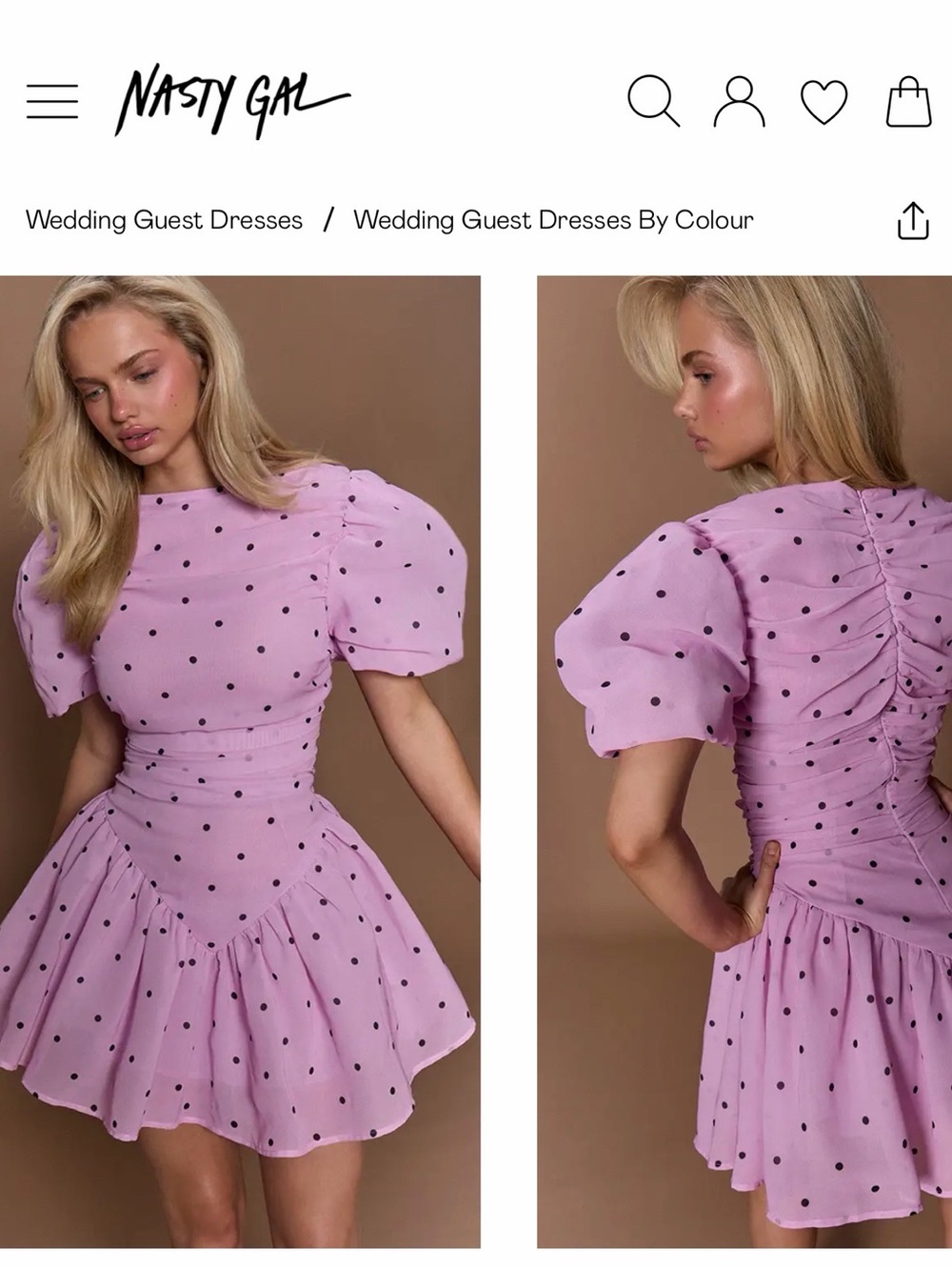 Subcategory Classification